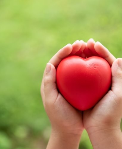 Two hands of child holding a red of rubber heart with green grass background. Showed the coordination, collaboration of business or requires sacrifice, attention, unity, charity, care or love of human